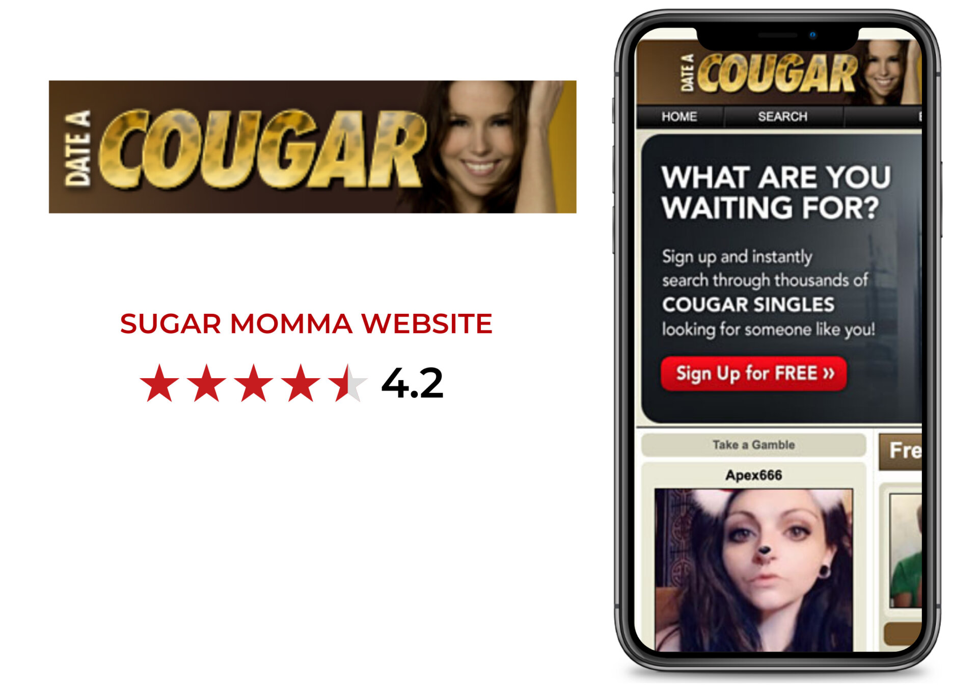 Find a Sugar Momma Online - Date A Cougar