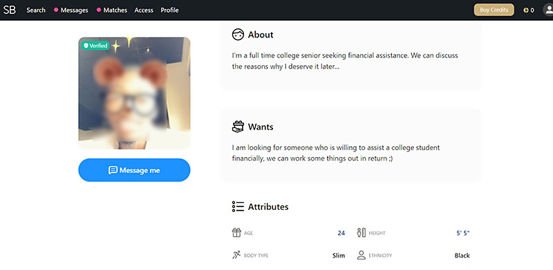 male sugar baby profile