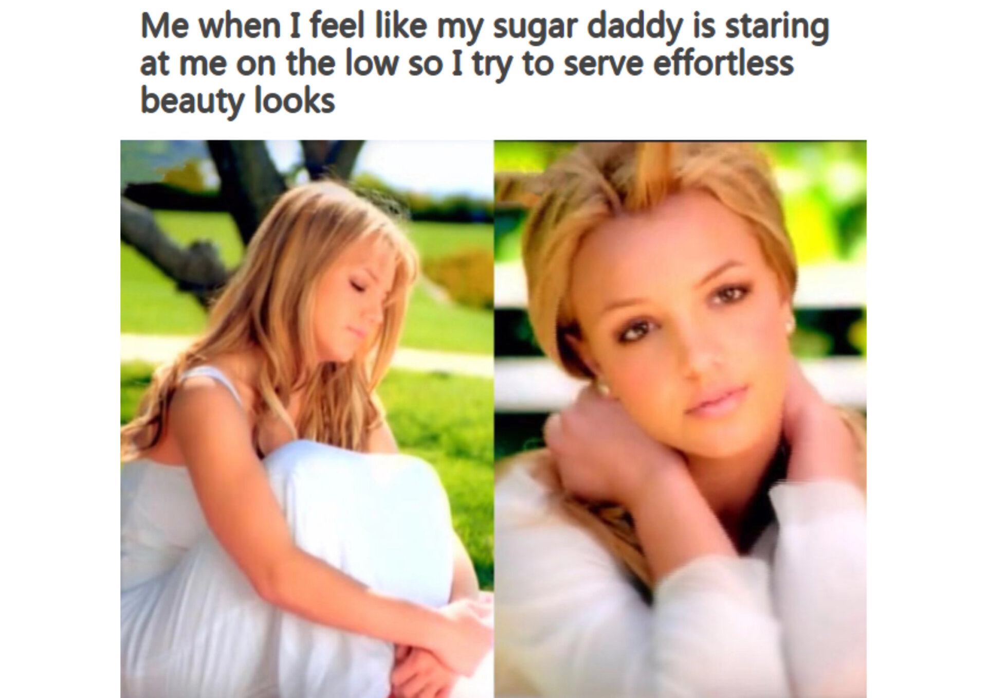 sugar baby meme