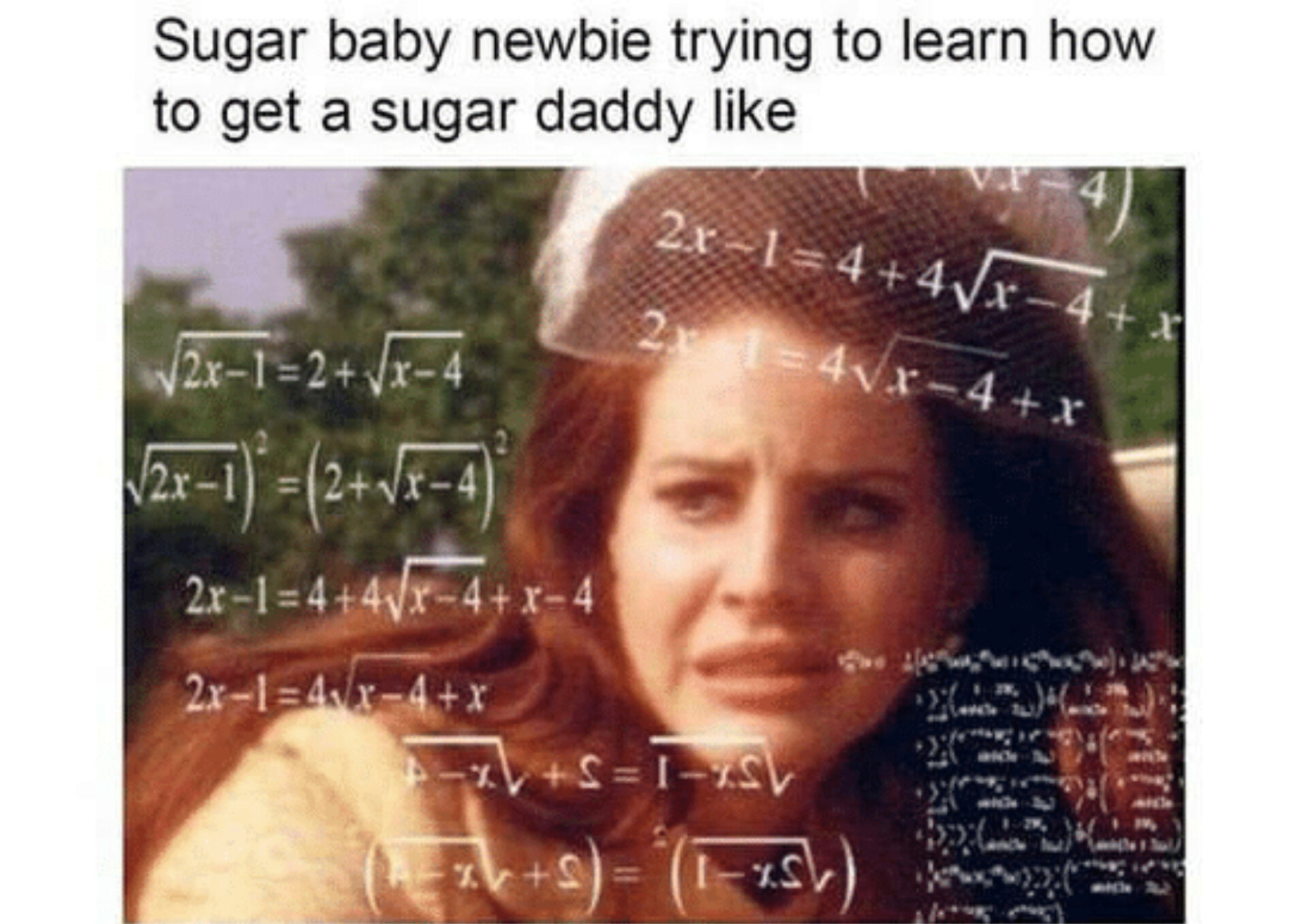 best sugar baby meme