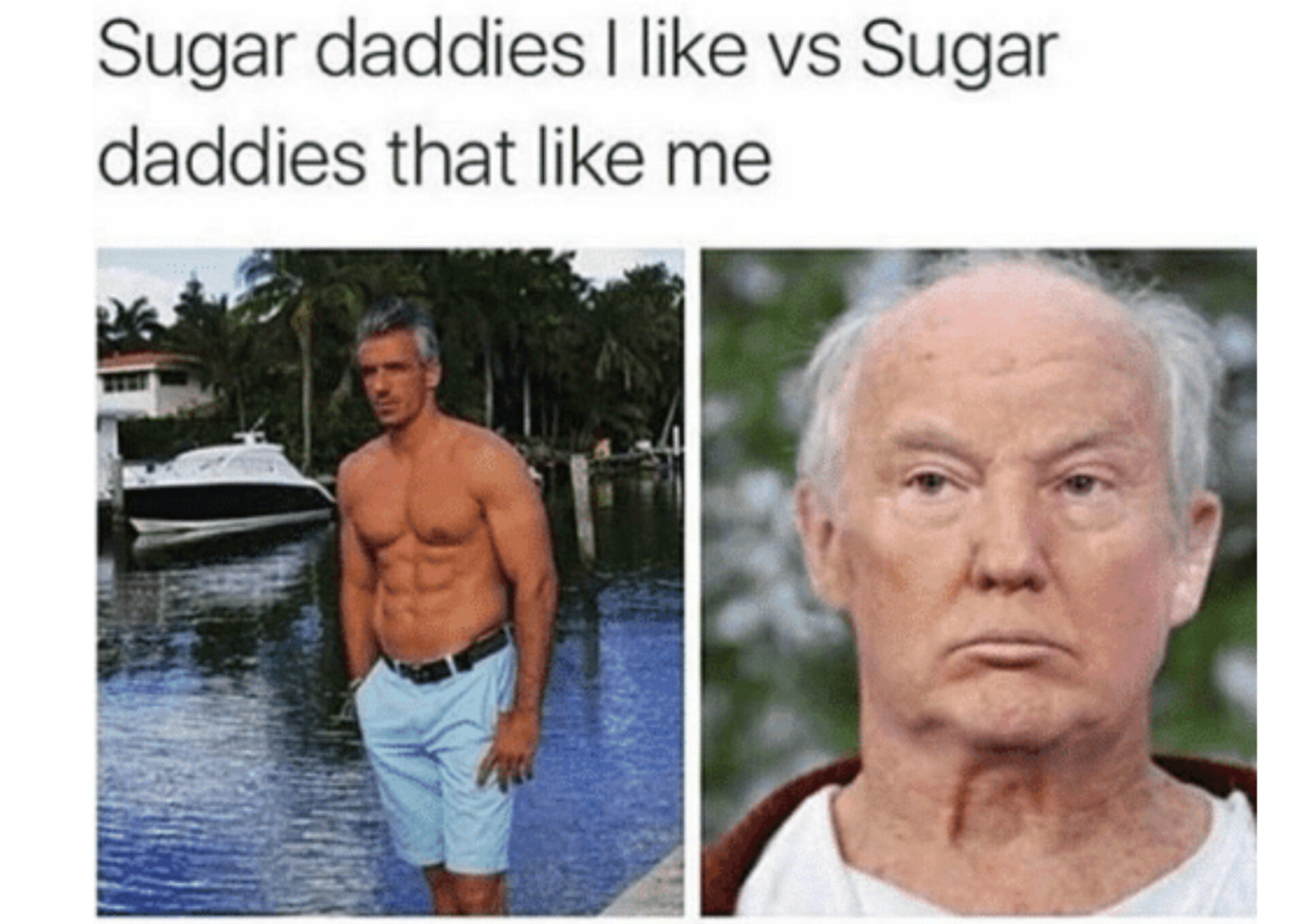 funny sugar baby meme