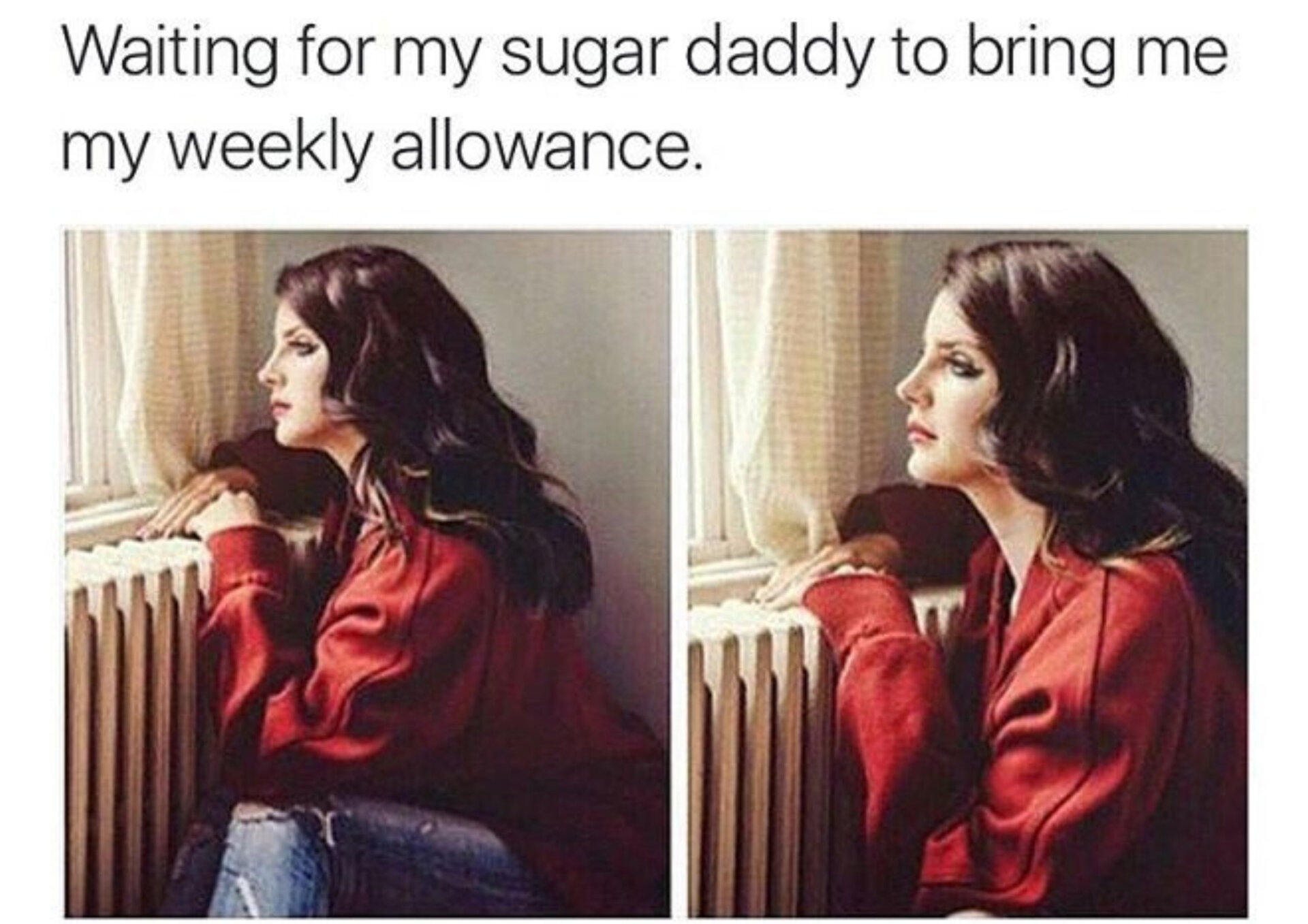 sugar baby application meme
