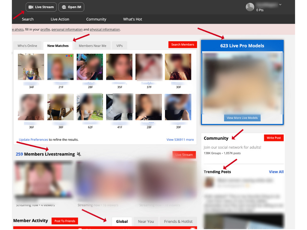 interface of AdultFriendFinder