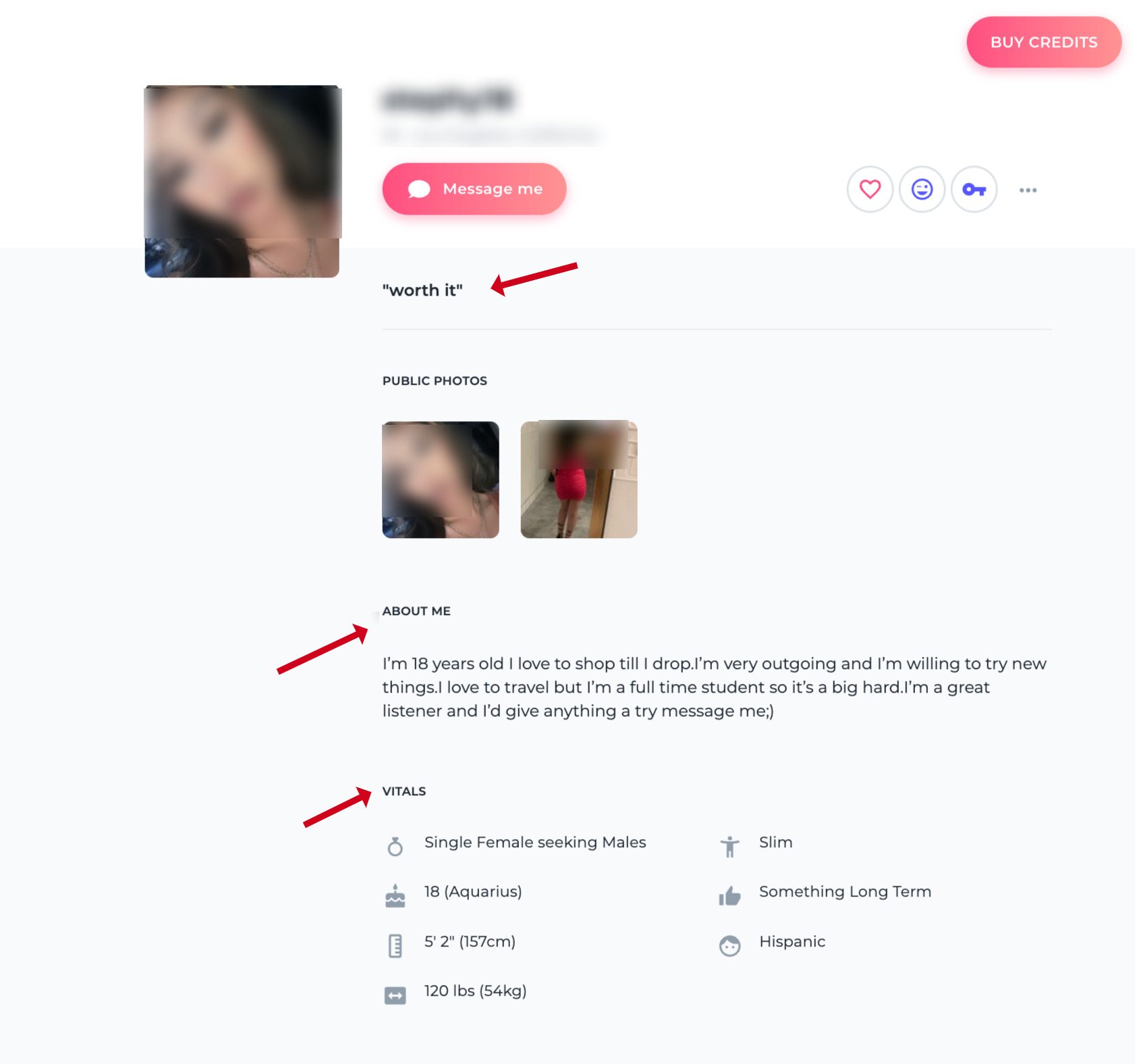 Ashley Madison Personal Profile
