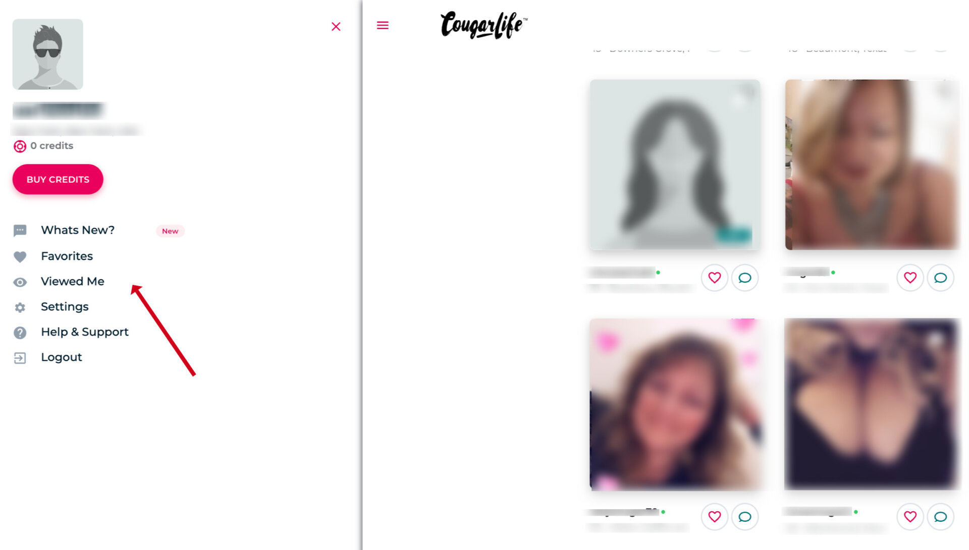 Interface of CougarLife