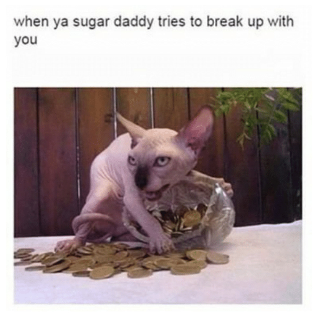 SB meme