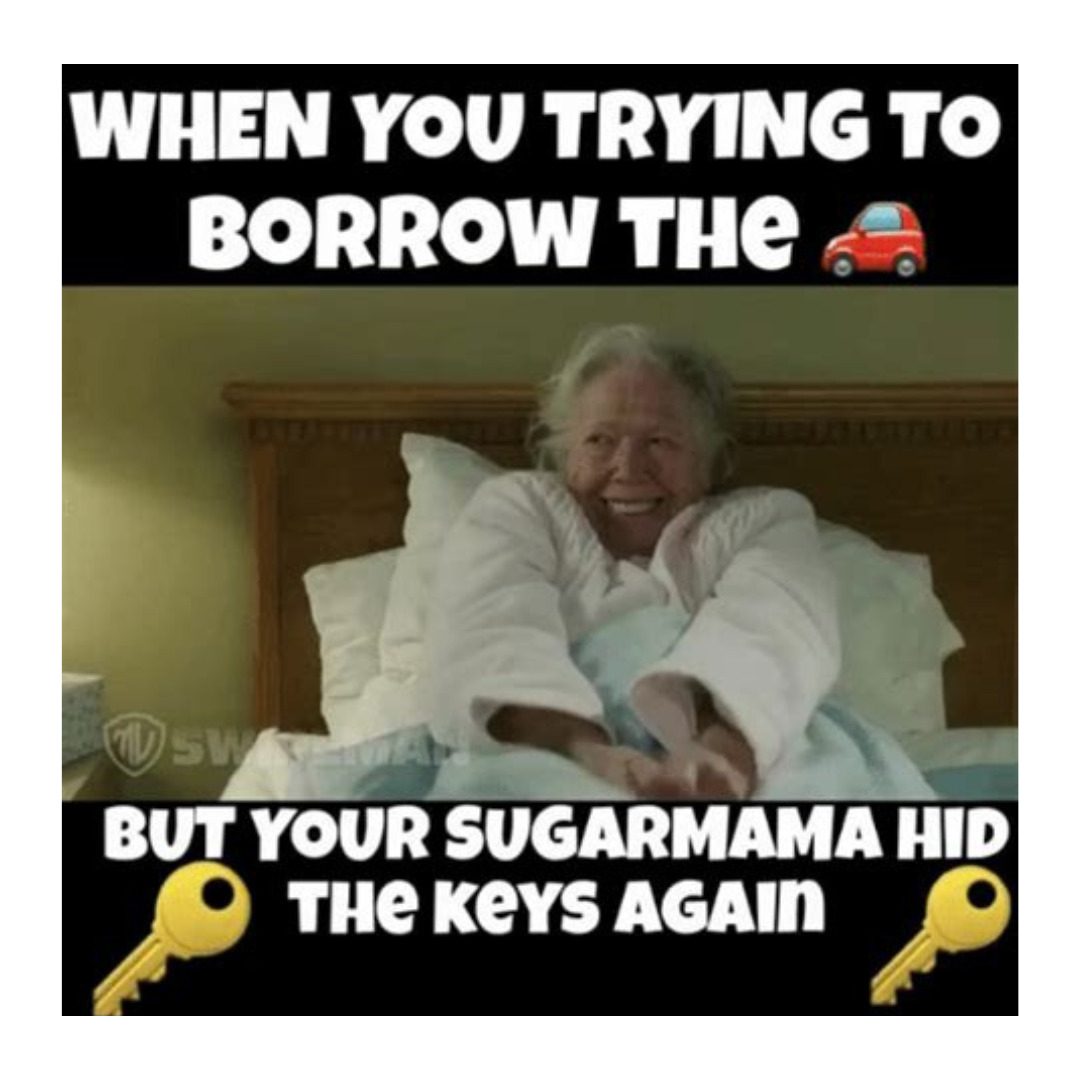 find sugar momma meme