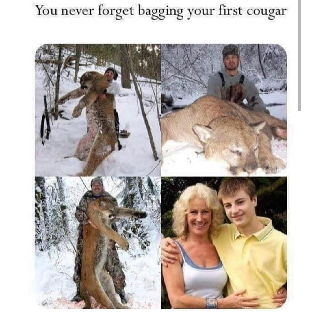 cougar meme