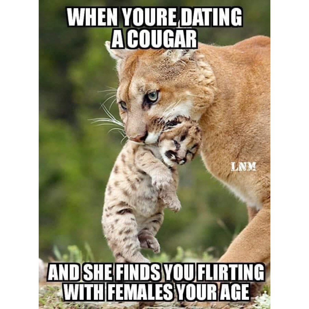 cougar and cub memes
