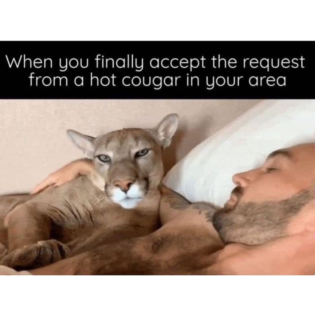 funny cougar meme