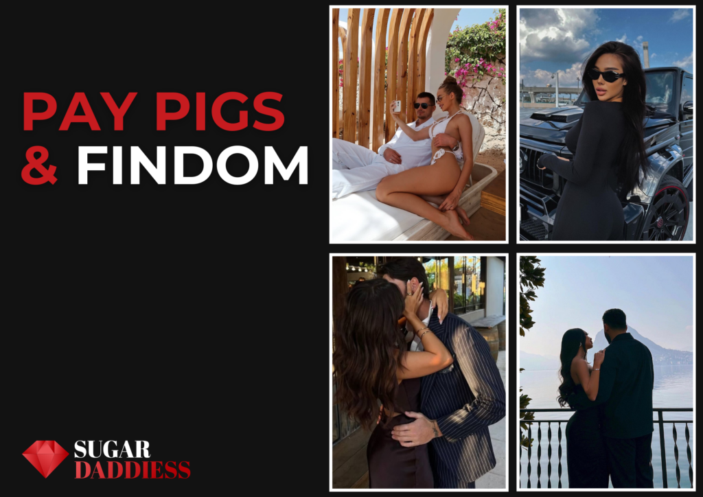 Pay Pigs & Findom: Meaning, Sites, and How to Start